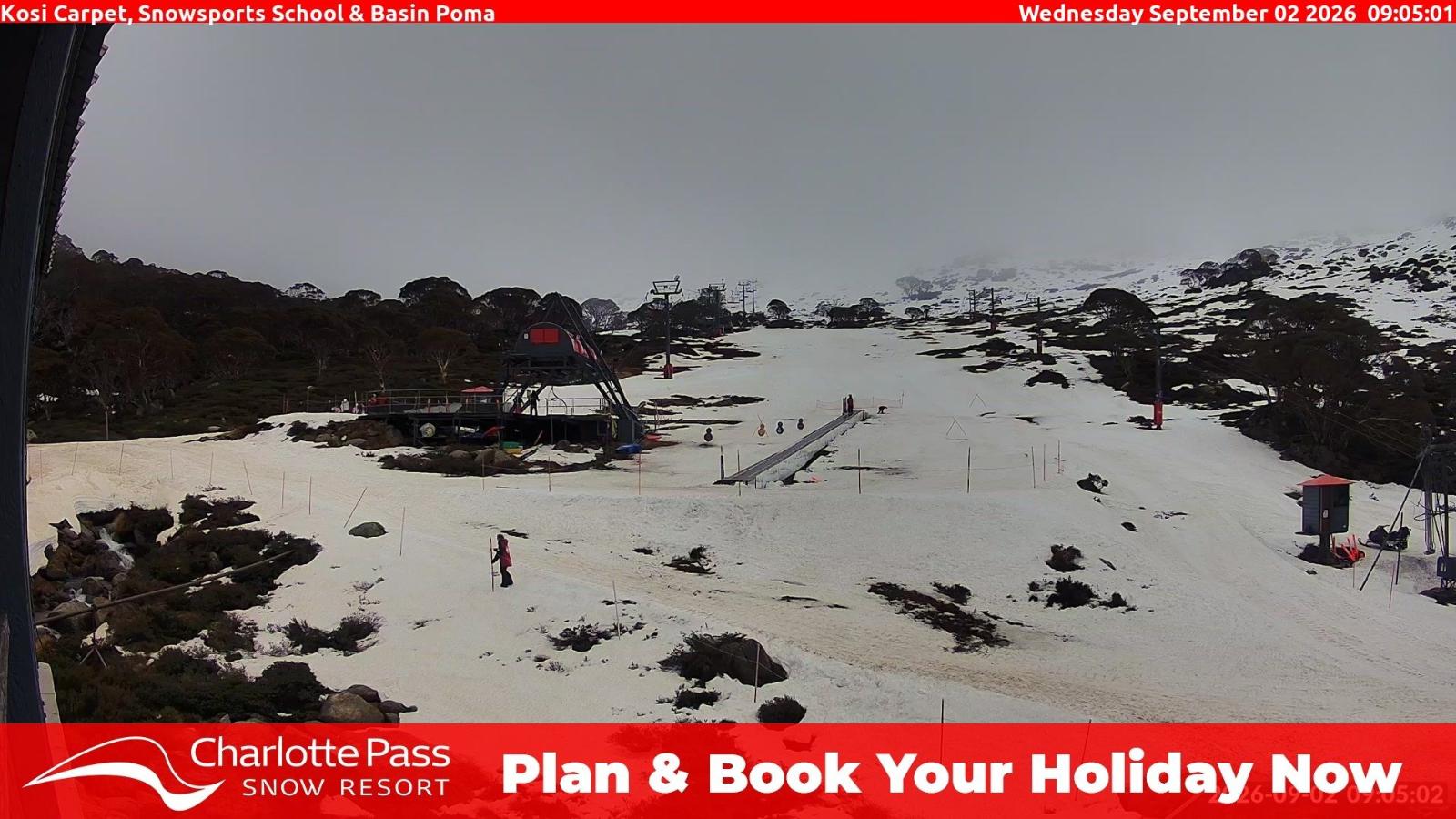 Webcam Charlotte Pass: Kosi carpet