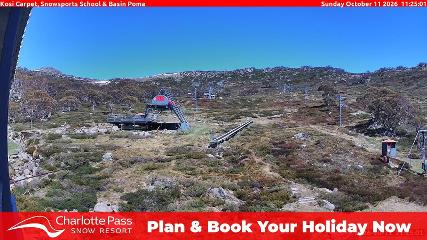 Charlotte Pass: Kosi carpet (charlottepass.com.au)