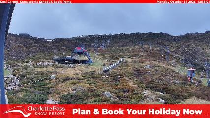 Charlotte Pass: Kosi carpet (charlottepass.com.au)