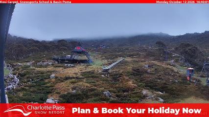 Charlotte Pass: Kosi carpet (charlottepass.com.au)