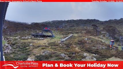 Charlotte Pass: Kosi carpet (charlottepass.com.au)