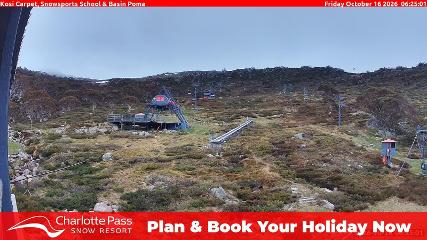 Charlotte Pass: Kosi carpet (charlottepass.com.au)