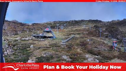 Charlotte Pass: Kosi carpet (charlottepass.com.au)