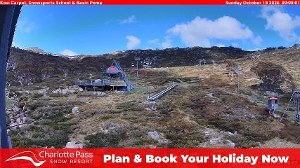 Charlotte Pass: Kosi carpet (charlottepass.com.au)