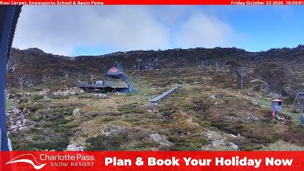 Charlotte Pass: Kosi carpet (charlottepass.com.au)