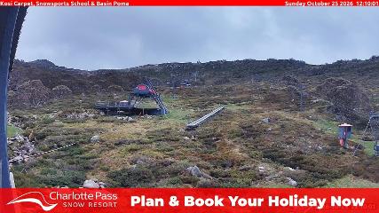 Charlotte Pass: Kosi carpet (charlottepass.com.au)