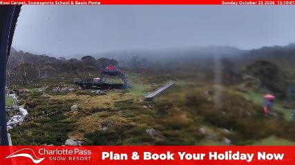 Charlotte Pass: Kosi carpet (charlottepass.com.au)