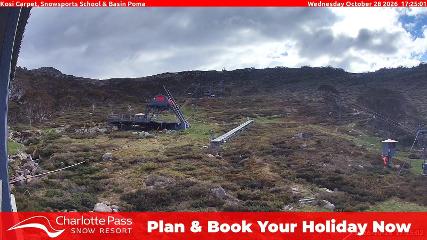 Charlotte Pass: Kosi carpet (charlottepass.com.au)
