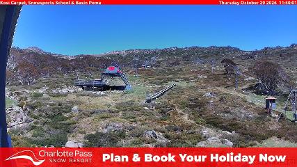 Charlotte Pass: Kosi carpet (charlottepass.com.au)