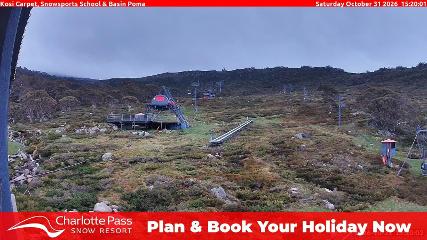 Charlotte Pass: Kosi carpet (charlottepass.com.au)