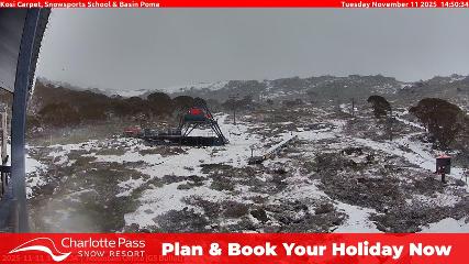 Charlotte Pass: Kosi carpet (charlottepass.com.au)