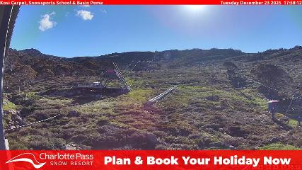 Charlotte Pass: Kosi carpet (charlottepass.com.au)