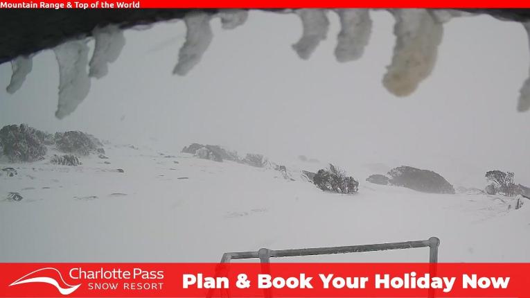 Webcam Charlotte Pass: Mountain Range
