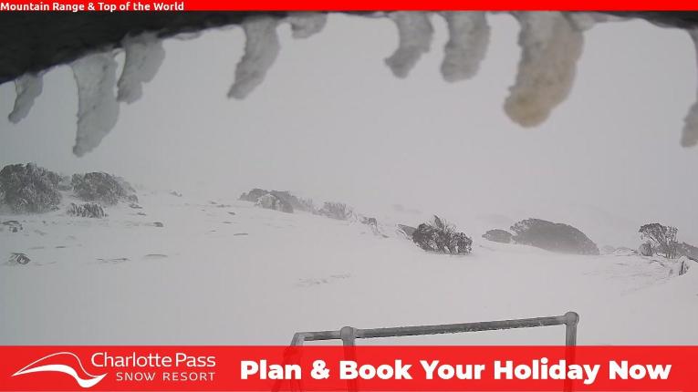 Webcam Charlotte Pass: Mountain Range