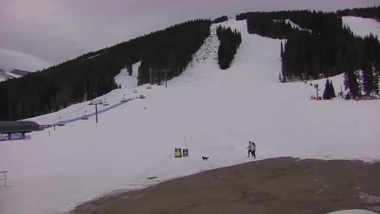 Webcam Copper Mountain: Super bee