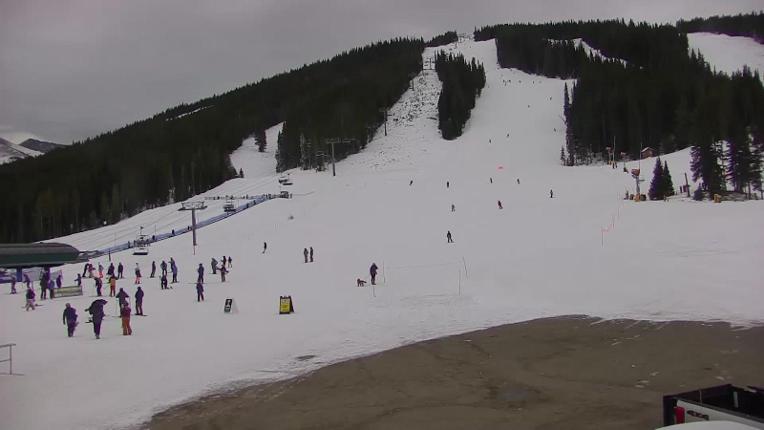 Webcam Copper Mountain: Super bee