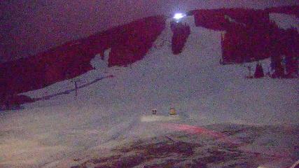 Copper Mountain: Super bee (coppercolorado.com)