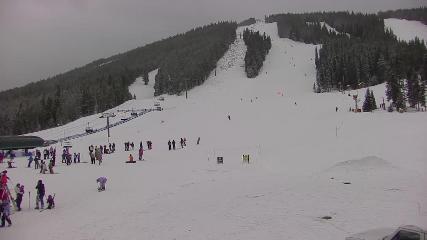 Copper Mountain: Super bee (coppercolorado.com)