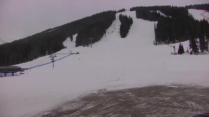 Copper Mountain: Super bee (coppercolorado.com)