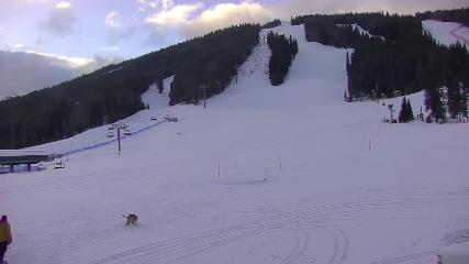 Copper Mountain: Super bee (coppercolorado.com)