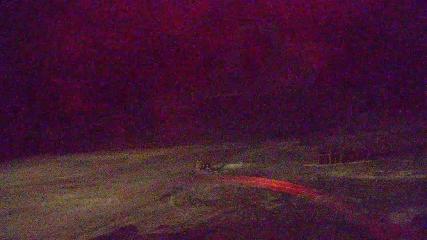 Copper Mountain: Super bee (coppercolorado.com)