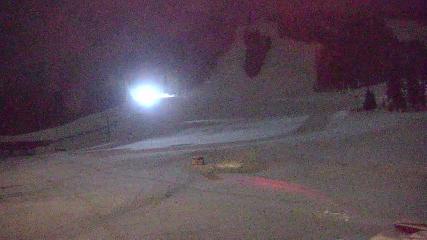 Copper Mountain: Super bee (coppercolorado.com)