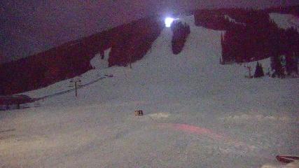 Copper Mountain: Super bee (coppercolorado.com)