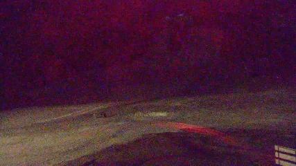 Copper Mountain: Super bee (coppercolorado.com)