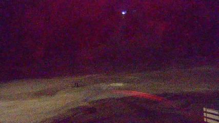 Copper Mountain: Super bee (coppercolorado.com)