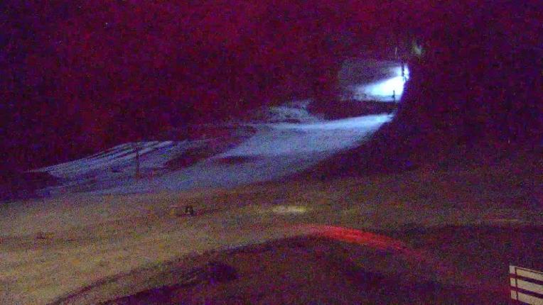 Webcam Copper Mountain: Super bee