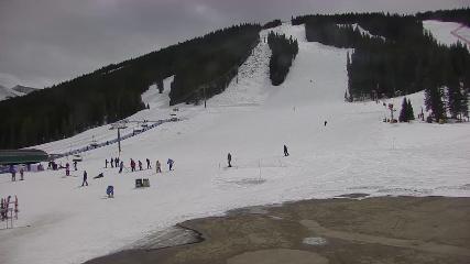 Copper Mountain: Super bee (coppercolorado.com)
