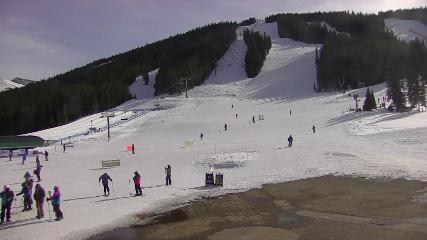 Copper Mountain: Super bee (coppercolorado.com)