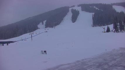 Copper Mountain: Super bee (coppercolorado.com)