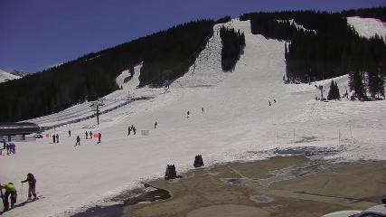 Copper Mountain: Super bee (coppercolorado.com)