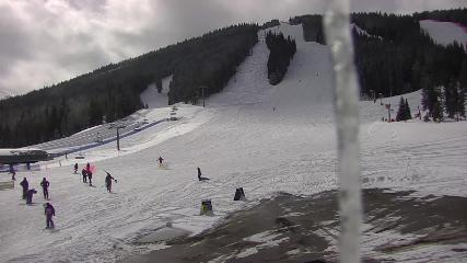 Copper Mountain: Super bee (coppercolorado.com)