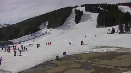 Copper Mountain: Super bee (coppercolorado.com)