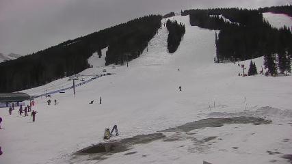 Copper Mountain: Super bee (coppercolorado.com)