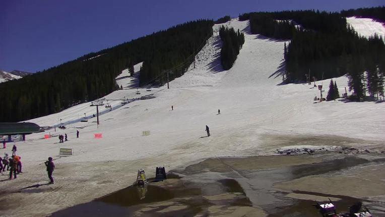 Webcam Copper Mountain: Super bee
