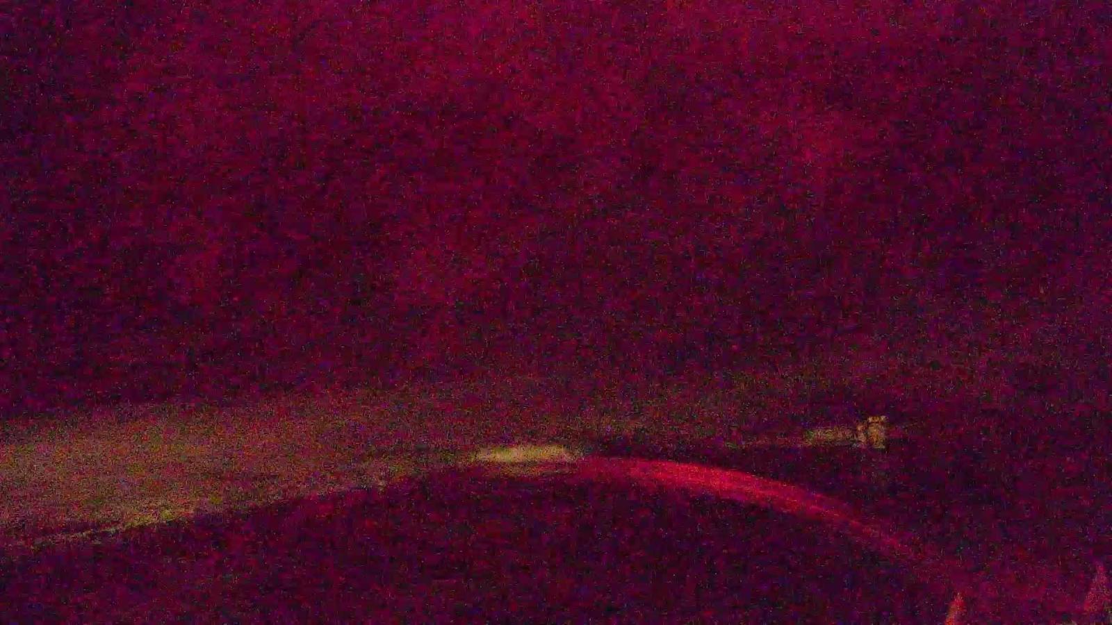 Webcam Copper Mountain: Super bee