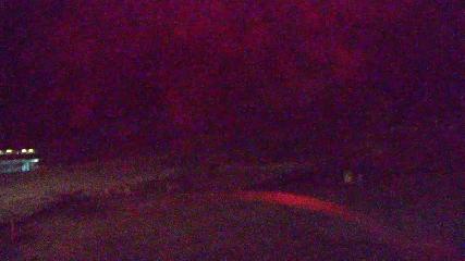 Copper Mountain: Super bee (coppercolorado.com)