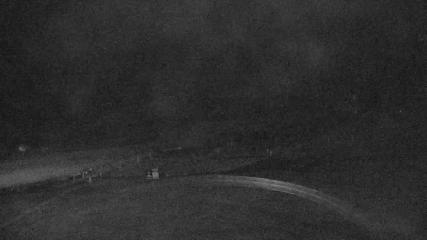 Copper Mountain: Super bee (coppercolorado.com)