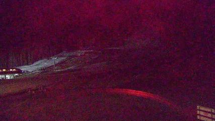 Copper Mountain: Super bee (coppercolorado.com)