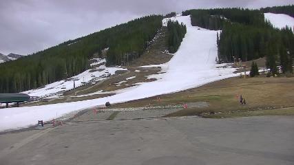Copper Mountain: Super bee (coppercolorado.com)
