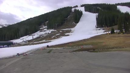 Copper Mountain: Super bee (coppercolorado.com)