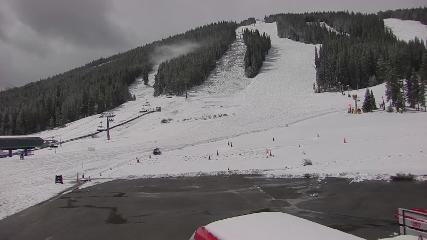 Copper Mountain: Super bee (coppercolorado.com)