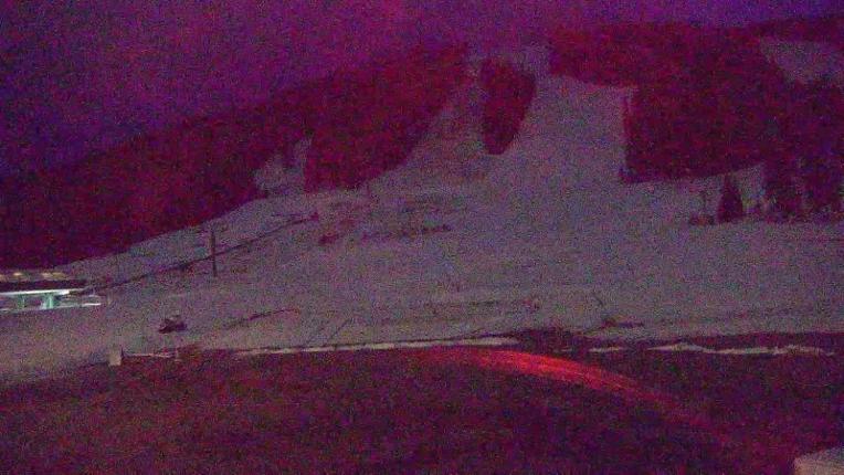 Webcam Copper Mountain: Super bee