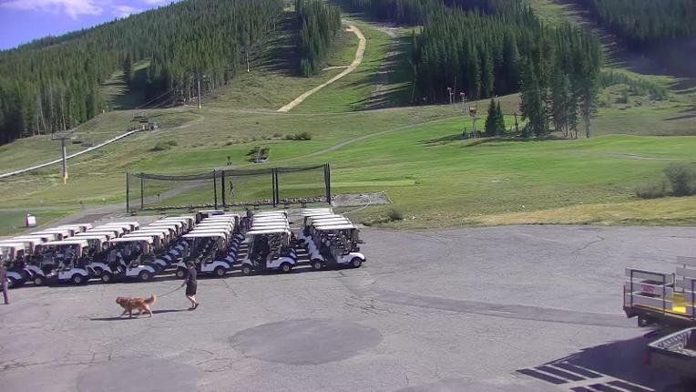 Webcam Copper Mountain: Super bee