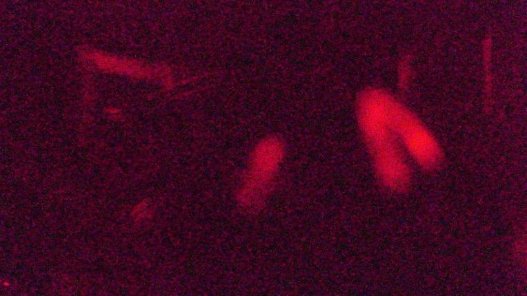 Webcam Copper Mountain: Union peak