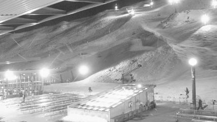 Coronet webcam