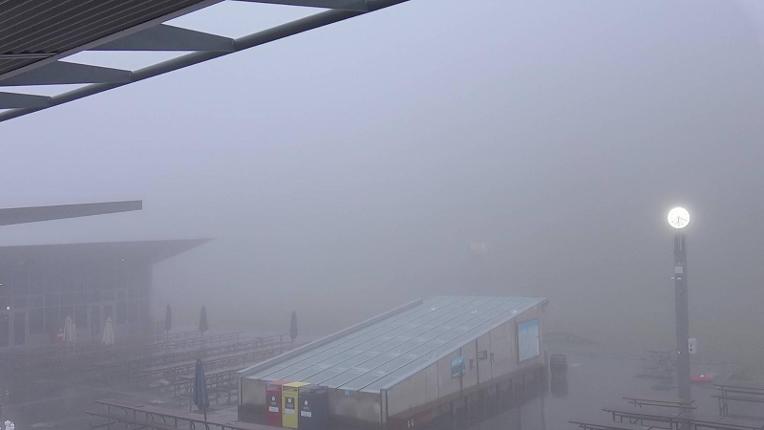 Webcam Coronet: Meadowns base